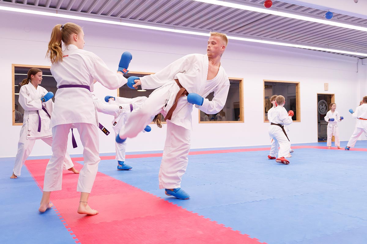 Karate Kumite Training